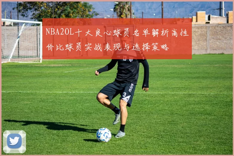 NBA2OL十大良心球员名单解析高性价比球员实战表现与选择策略