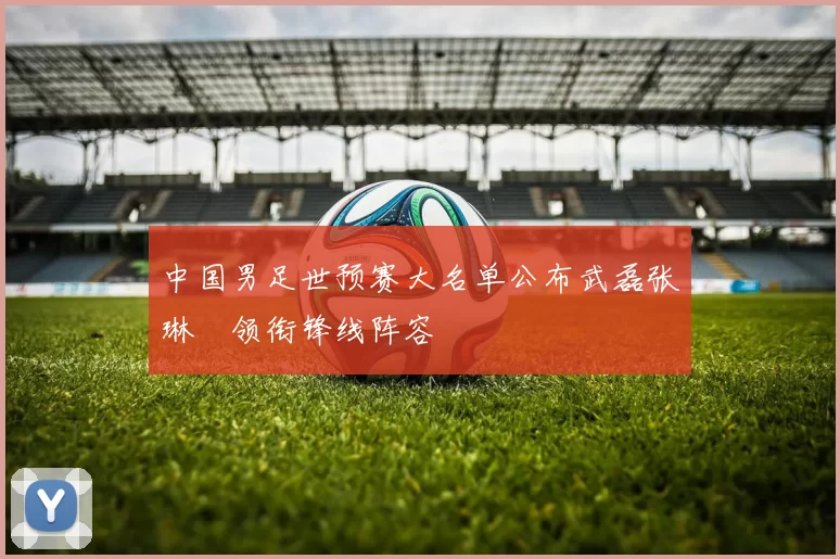 中国男足世预赛大名单公布武磊张琳芃领衔锋线阵容