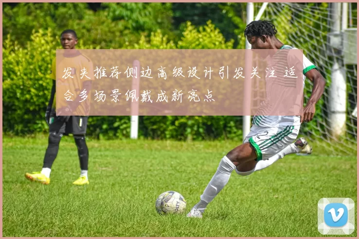 发夹推荐侧边高级设计引发关注 适合多场景佩戴成新亮点