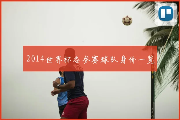2014世界杯各参赛球队身价一览