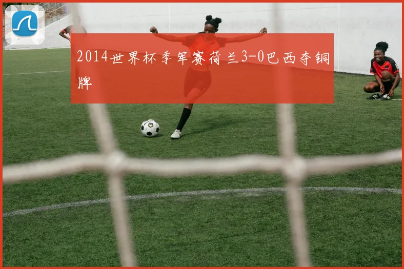 2014世界杯季军赛荷兰3-0巴西夺铜牌