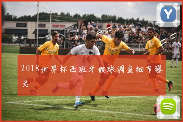 2018世界杯西班牙假球调查细节曝光