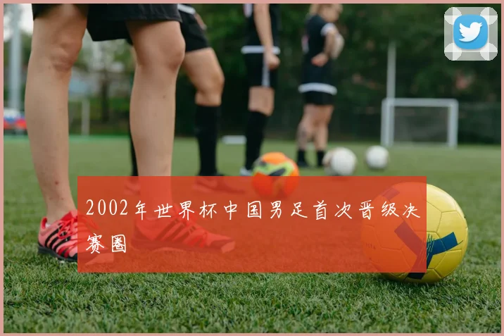 2002年世界杯中国男足首次晋级决赛圈