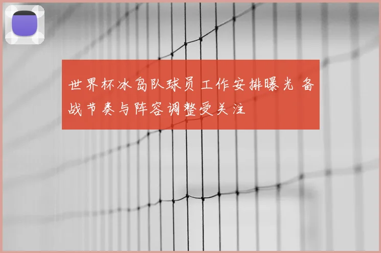 世界杯冰岛队球员工作安排曝光 备战节奏与阵容调整受关注