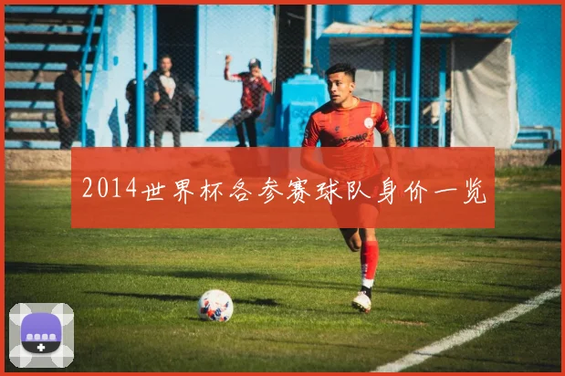 2014世界杯各参赛球队身价一览
